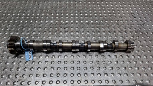 cam of the gear SSACY 03L101B VW CADDY III GOLF V RAPID A3 8P TOURAN 1.6TDI
