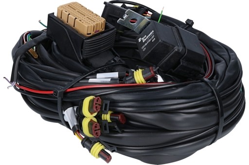 612000066 - Джгут проводів LOVATO-EASY FAST 6 циліндрів C-OBD