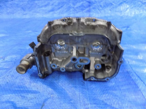 kopf zylinderkopf links T20D LH 106 FORESTER III 2,0D