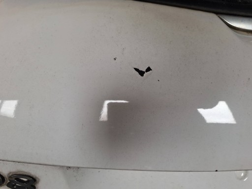 PEUGEOT 208 and 1 boot door cover boot window BIALA EWPB 2012-2019