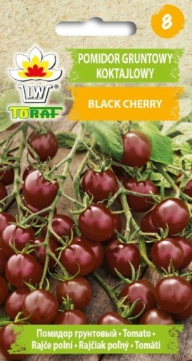Toraf Nasiona POMIDOR (koktajlowy) Black Cherry (0,3g) TORAF