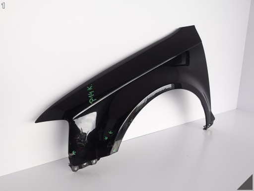 AUDI RS3 8P0 09-12 CARBON fender left front