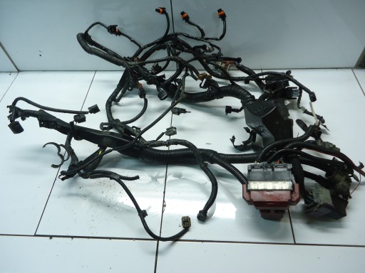 NISSAN QASHQAI J10 1.6 DCI cablaggio Cablaggio motore usato 24011 BB50A