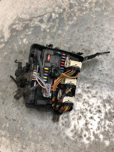 Kasten der Sicherungen PEUGEOT 207 CC 9667199580