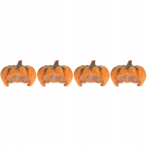 Акваріум Декорування тераріуму