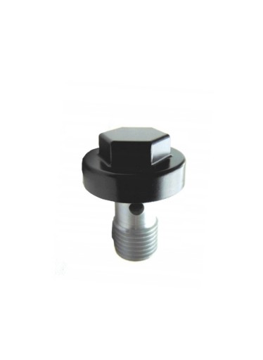 920661205 - Оригінальний болт масляної шини kawasaki