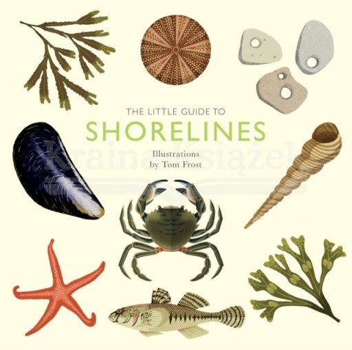 The Little Guide to Shorelines Alison Davies