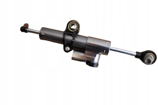 000EE8456 - R1 rn12 04-06R амортизатор повороту