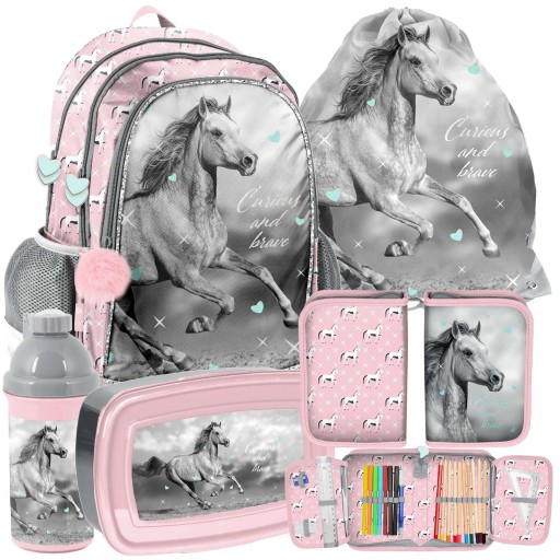 Шкільний рюкзак на багато відділень Paso Відтінки рожевого, Відтінки сірого та сріблястий, Різнокольоровий