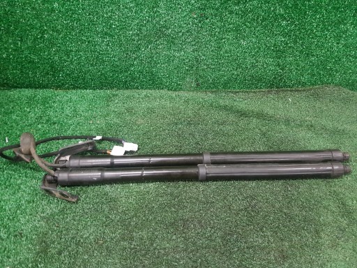 TELESKOPY du capot Arrière Électricité KOMPLET RENAULT KOLEOS 2 2018 904520316R
