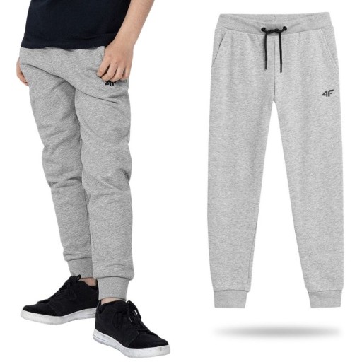 Спортивні штани 4F 158 сірі