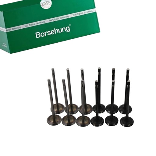 +04E109611L - ВИПУСКНИЙ ВСМОКТУЮЧИЙ КЛАПАН KPL BORSEHUNG 04E109601 / KPL