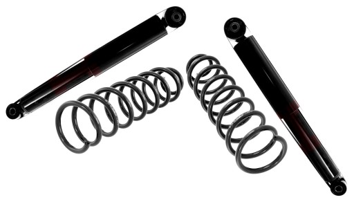 55333909KT - Амортизаторы задние пружины для renault megane ii hb 02- ##