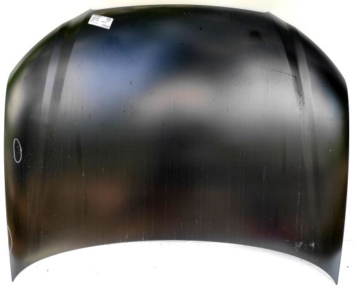 Капот двигуна AUDI A3 8P1 номер: 1032000