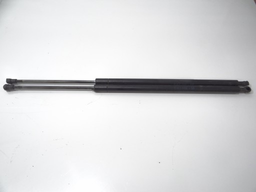 Vérins de coffre hayon Télescopique du capot Porte coffre hayon BMW X3 E83 LCI
