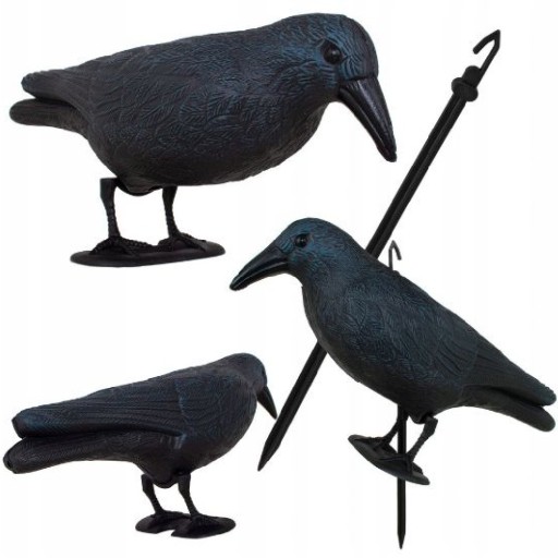 ОТПУСКАТЕЛЬ СЫРЫХ ПТИЦ, ГОЛУБЕЙ, СКВОРКОВ, БОЛЬШИХ