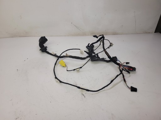 bundle door right front AUDI A6 C6 4F1971030AF