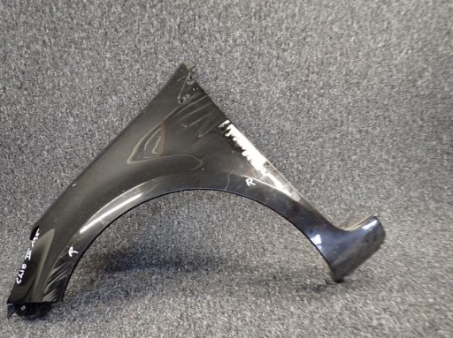 RENAULT CLIO III 195 fender left front front