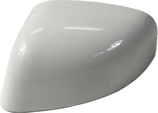 FORD CONNECT MK2 LIFT 18- cover mirrors left DT11-17K747-DAW original