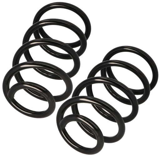 GT31013x2 - Пружины подвески x2 ford transit 2.2-2.4tdci 2006 - передние