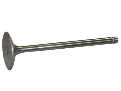 PL607909P - Впускной клапан парадный Бизон