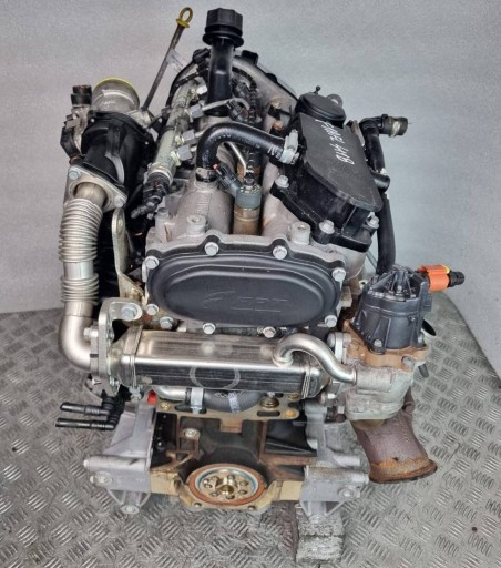 complete engine IVECO DAILY 2.3 HPI F1AFL411B SPRAWDZANY 100 TYS MIL @