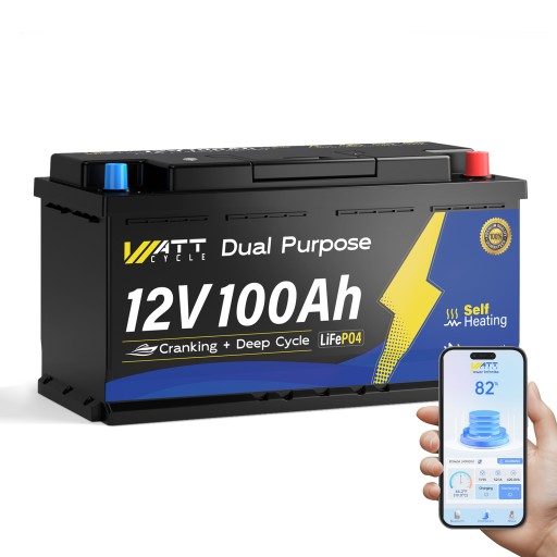 Аккумулятор lifepo4 12в 100ач пусковой обогрев для лодок и подвесных моторов