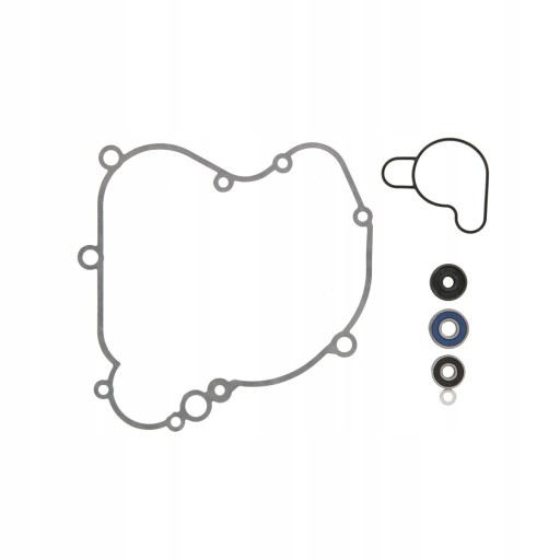 ICNT/57.6029/ZAPS - КОМПЛЕКТ ДЛЯ РЕМОНТУ ВОДЯНОГО НАСОСА HUSQVARNA TC
