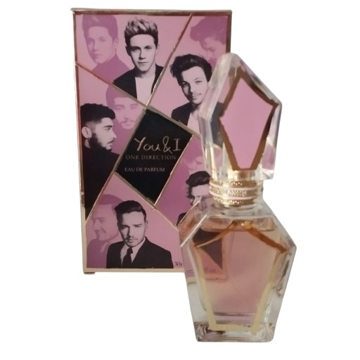 one direction you & i