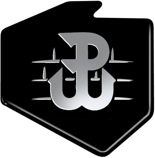 3D наклейка для автомобиля Польша борьба AVISA