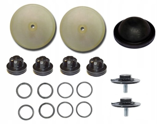 W19699 W21386 - РЕМОНТНИЙ КОМПЛЕКТ НАСОСА P-120 TOLVERI ОБПРИСКУВАЧ