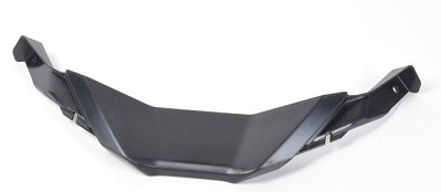 46637924417 - Средний накладной элемент BMW S1000RR K67 Оригинал