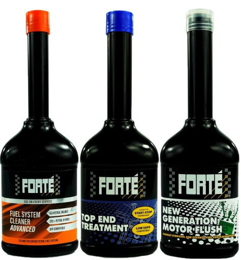 FORTE профилактика бензин прямой впрыск мини