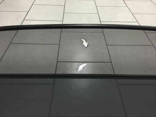 Заміна сітки на оригінальні Windschotts