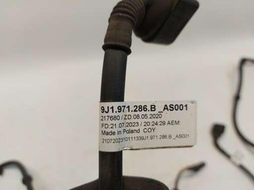Porsche Taycan GTS 9J1 2023r cablaggio Della sospensione posteriore Destra 9J1971286B