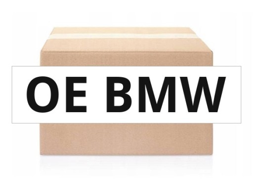 Alyvos siurblio elementas BMW 11 41 7 811 924