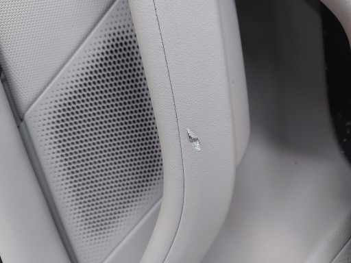Porsche Taycan 4S 9J1 2021 upholstery side door right rear part