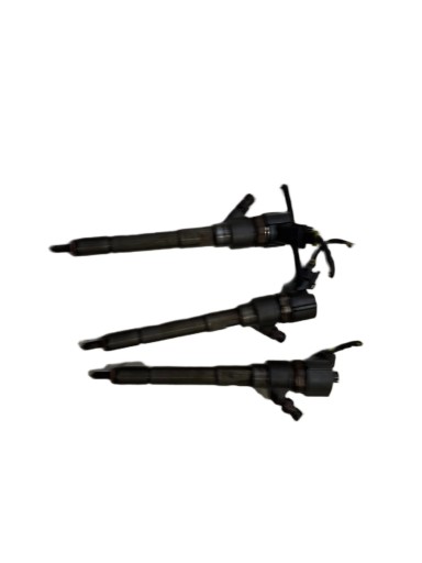 injector KIA CARENS III 2.0 CRDI 0445110 3380027400