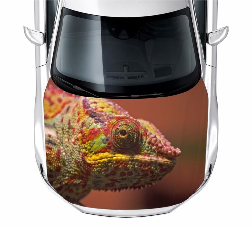 Наклейка на маску хамелеон 150X115 см пленка 3М