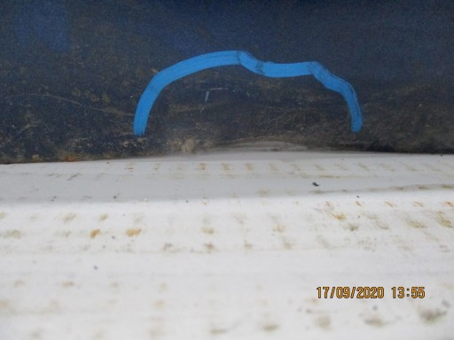 door Fiat Punto 1 unprotected right front