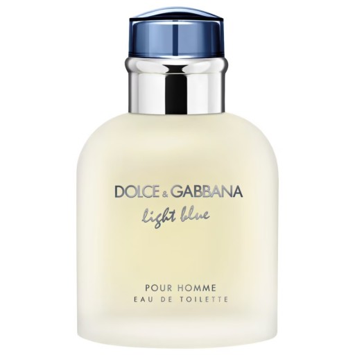 DOLCE & GABBANA Light Blue Pour Homme EDT woda toaletowa perfumy 40ml