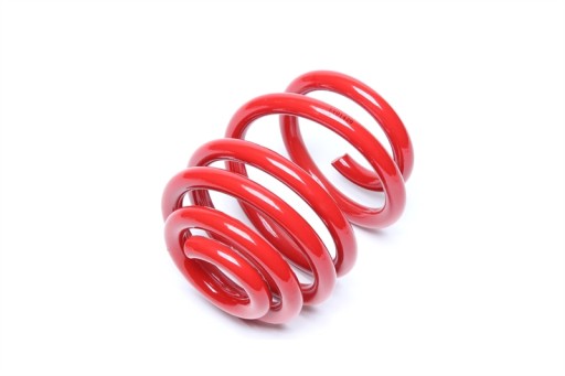 EVO1420 - Спортивные пружины задняя резьба VW Bus MULTIVAN T5