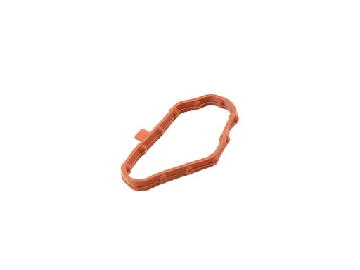 Originali tarpinė Renault Opel Nissan 118378366R