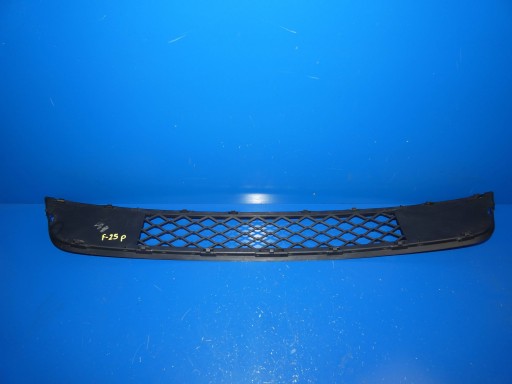 BMW X3 F25 grid of a bumper lower front front