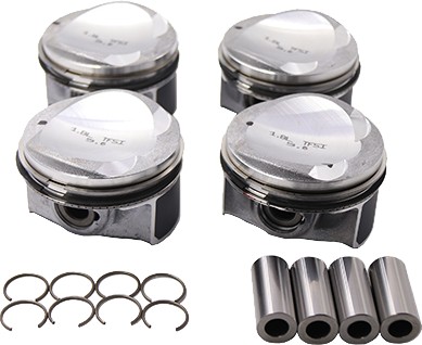 B13584 - Borsehung поршень