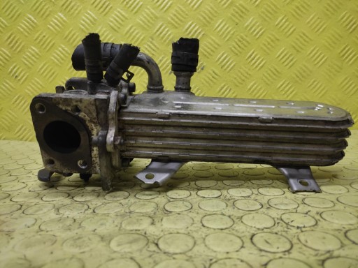 VW GOLF V 1.9 TDI Kühler Gase EGR 038131513AD