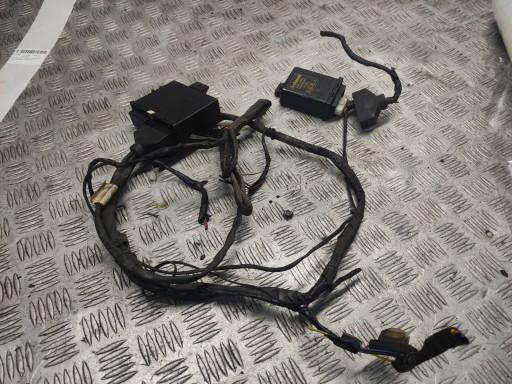 КОНТРОЛЕР ЕМУЛЯТОР ГАЗУ AEB150 AEB170 ДЖГУТ