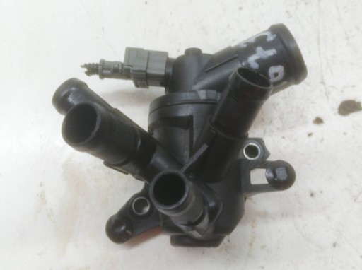 Scatola termostato 1.2 TCE Renault Kadjar e (2015- )