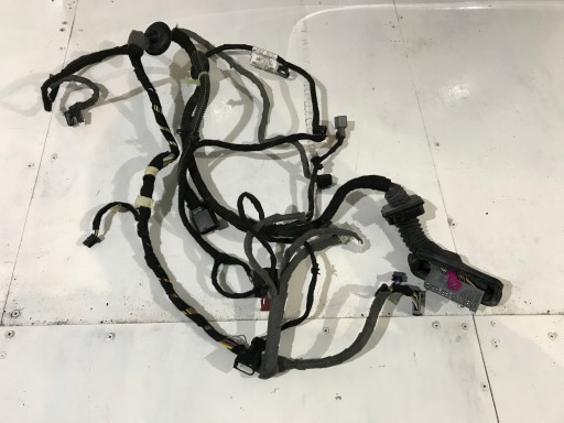 |00000000000 - ЖГУТ ПРОВОДОВ ПЕРЕДНЕЙ ЛЕВОЙ ДВЕРИ OPEL INSIGNIA FL 22866736