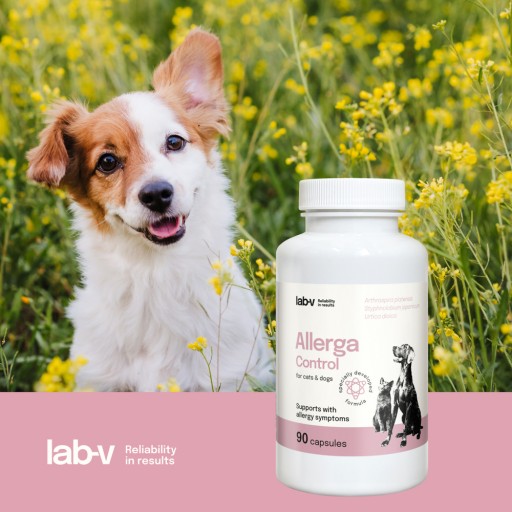 LAB-V Allerga Control - Wsparcie przy objawach alergii 90